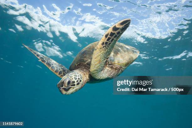Between Ocean And Sky High-Res Stock Photo