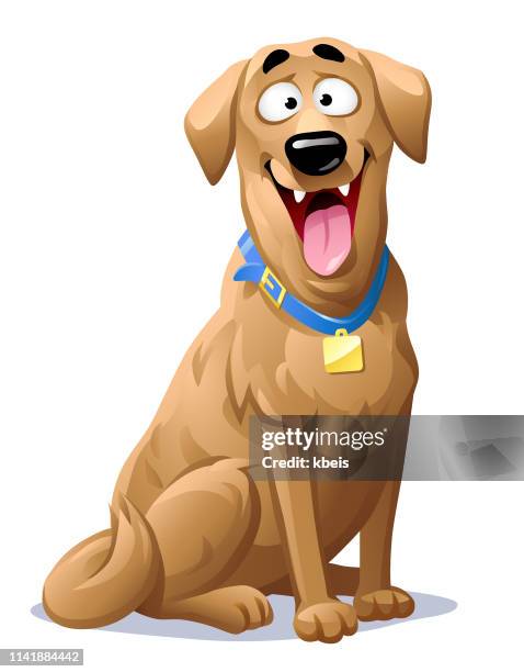 happy labrador retriever - hund stock-grafiken, -clipart, -cartoons und -symbole