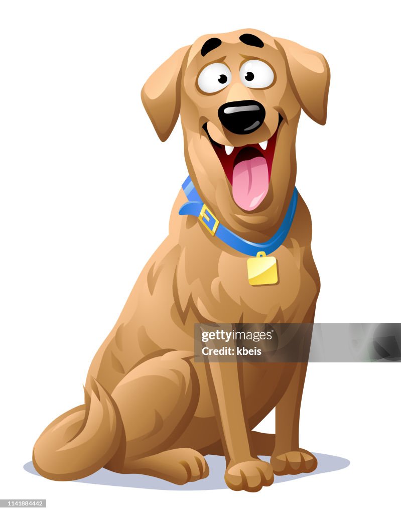 Happy Labrador Retriever High-Res Vector Graphic - Getty Images Happy Labrador Retriever High-Res Vector Graphic - Getty Images