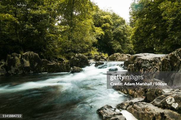 afon llugwy stream - alisa marshall imagens e fotografias de stock