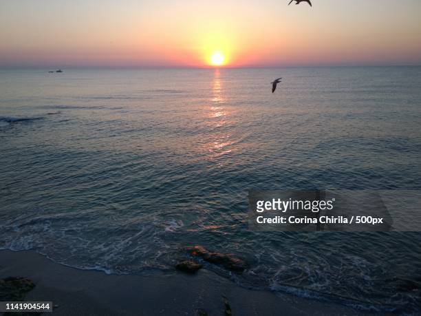 sunrise at the black sea - costinesti stock pictures, royalty-free photos & images