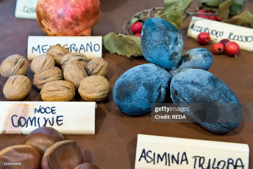 Agricultural fair: asimina triloba fruits and others. Montichiari. Lombardy. Italy
