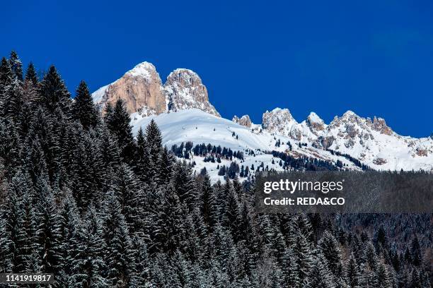 Dolomites. Soraga. Val di Fassa. Trentino Alto Adige. Italy. Europe.