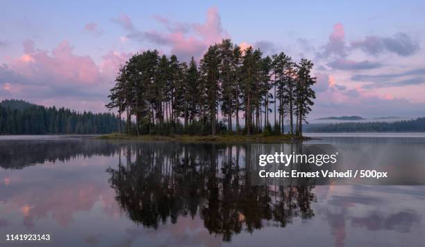 quiet morning at wide meadow - 湖 fotografías e imágenes de stock