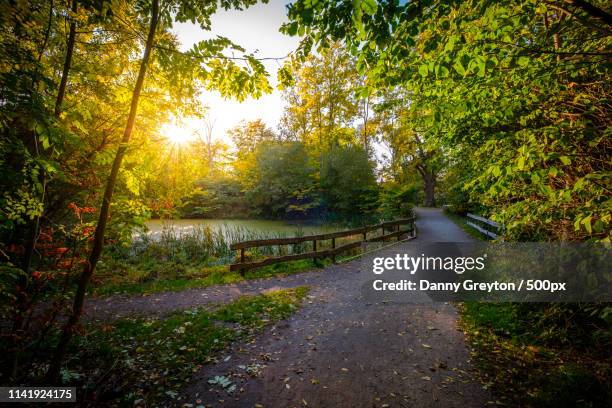 autumn walk in the park - garden path stock pictures, royalty-free photos & images