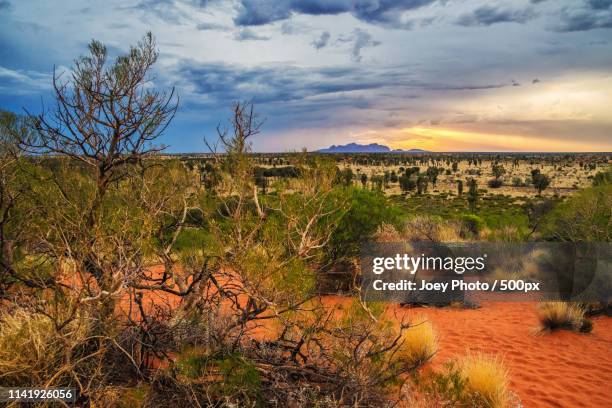 desert on fire - uluru rock stock pictures, royalty-free photos & images