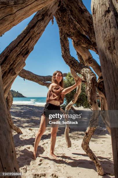 making a teepee on the beach - summer camping new zealand stock pictures, royalty-free photos & images