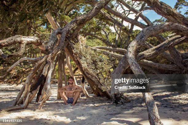 relaxing in beach teepee - teepee stock pictures, royalty-free photos & images