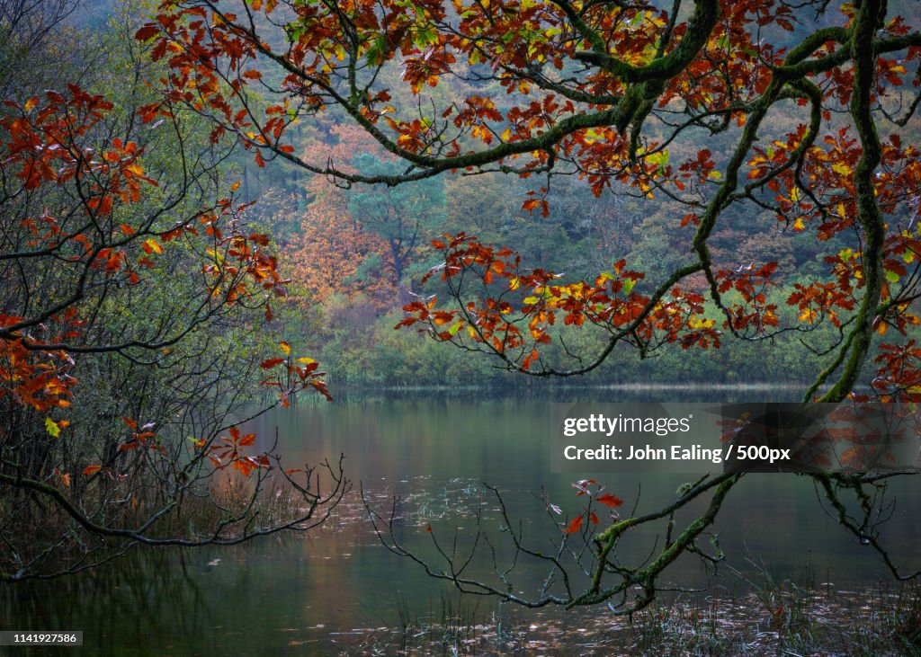 Yew Tree Tarn