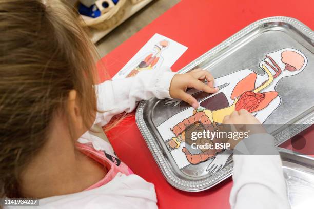 Kids are going back to school. This is a new school a Perel school. Aix en Provence, Paca, France.