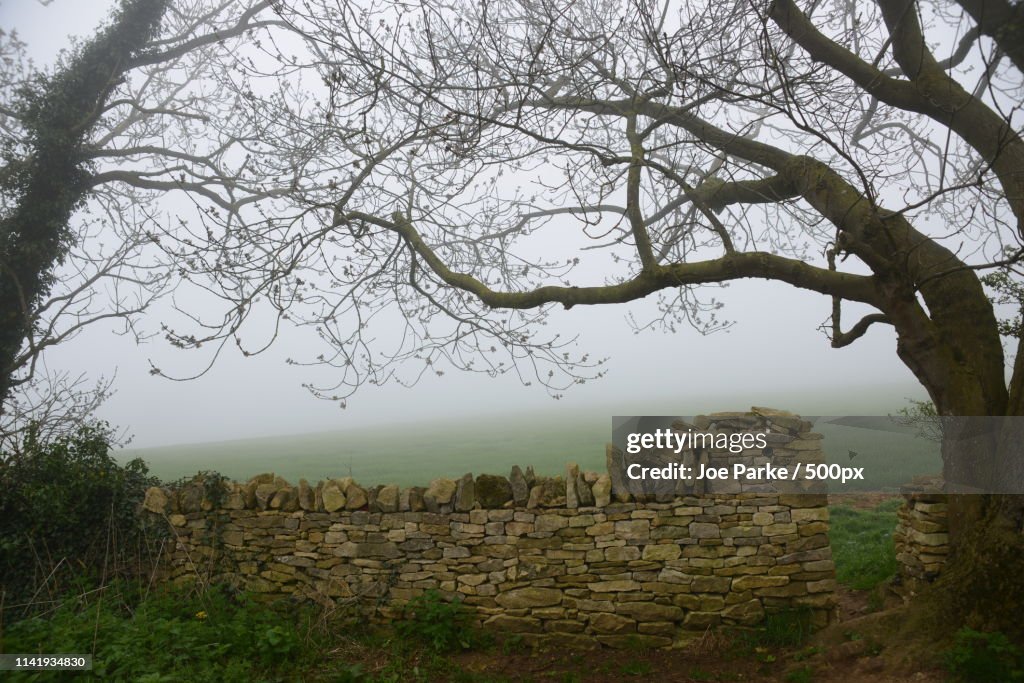Cotswold Wall