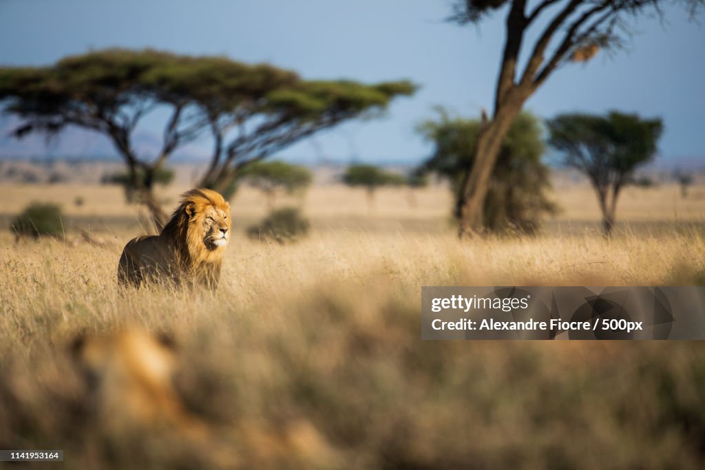 Tanzania
