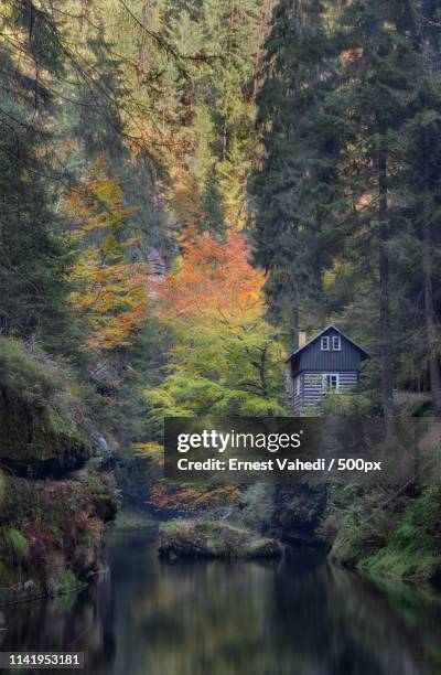 lonely hut - 捷克 stock pictures, royalty-free photos & images