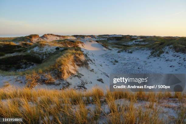 dueodde dunes - bornholm stock pictures, royalty-free photos & images