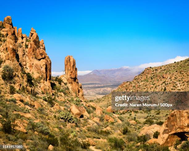 grapevine hills trail, big bend national park - grapevine texas stock pictures, royalty-free photos & images