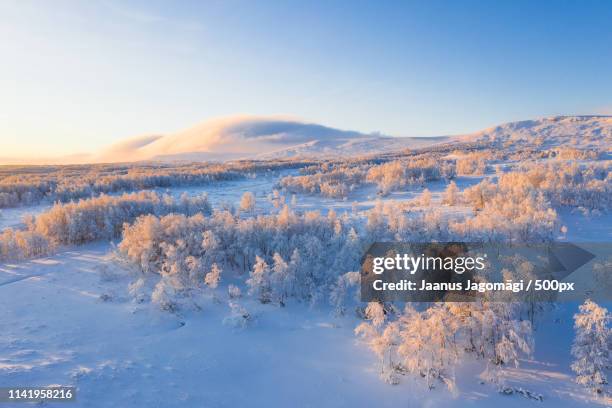 bruksvallarna - trøndelag stock pictures, royalty-free photos & images