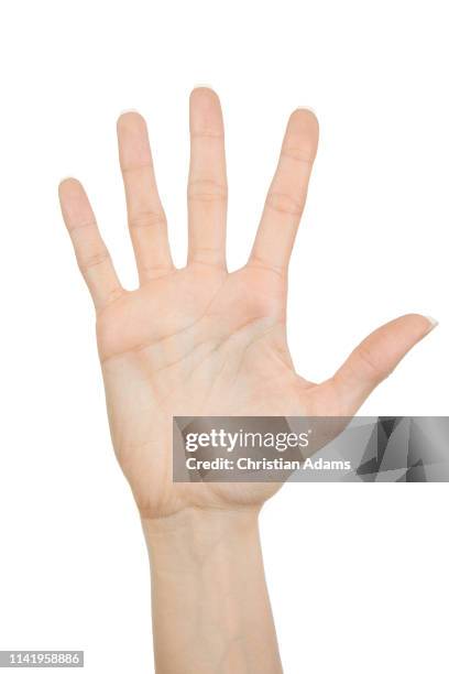 hand sign five and hand - dedo humano fotografías e imágenes de stock