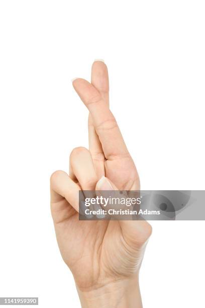 hand sign fingers crossed - fingers crossed stock pictures, royalty-free photos & images