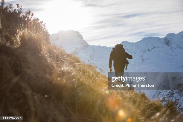 bergwandern - australian winter landscape stock-fotos und bilder