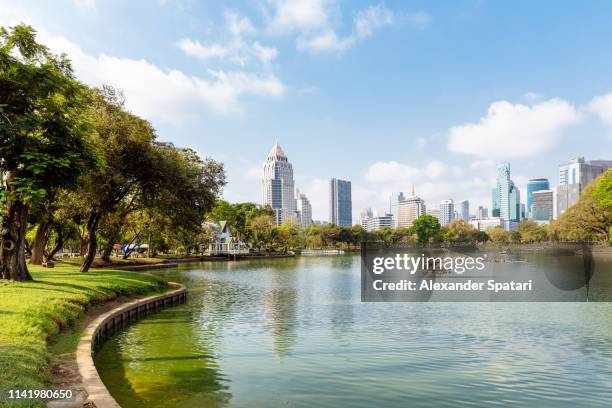 lake in lumpini park and bangkok skyline - lumpini park bildbanksfoton och bilder