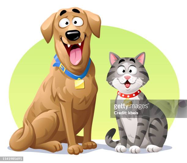 cat and dog - animal whisker stock illustrations