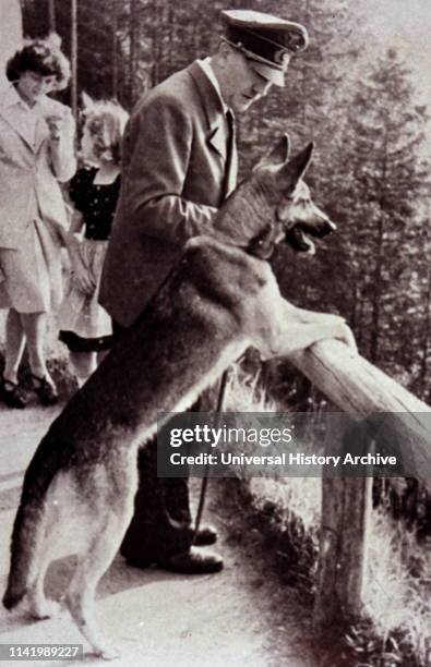Blondi was Adolf Hitler's German Shepherd, a gift as a puppy, from Martin Bormann in 1941. Blondi stayed with Hitler even after his move into the...