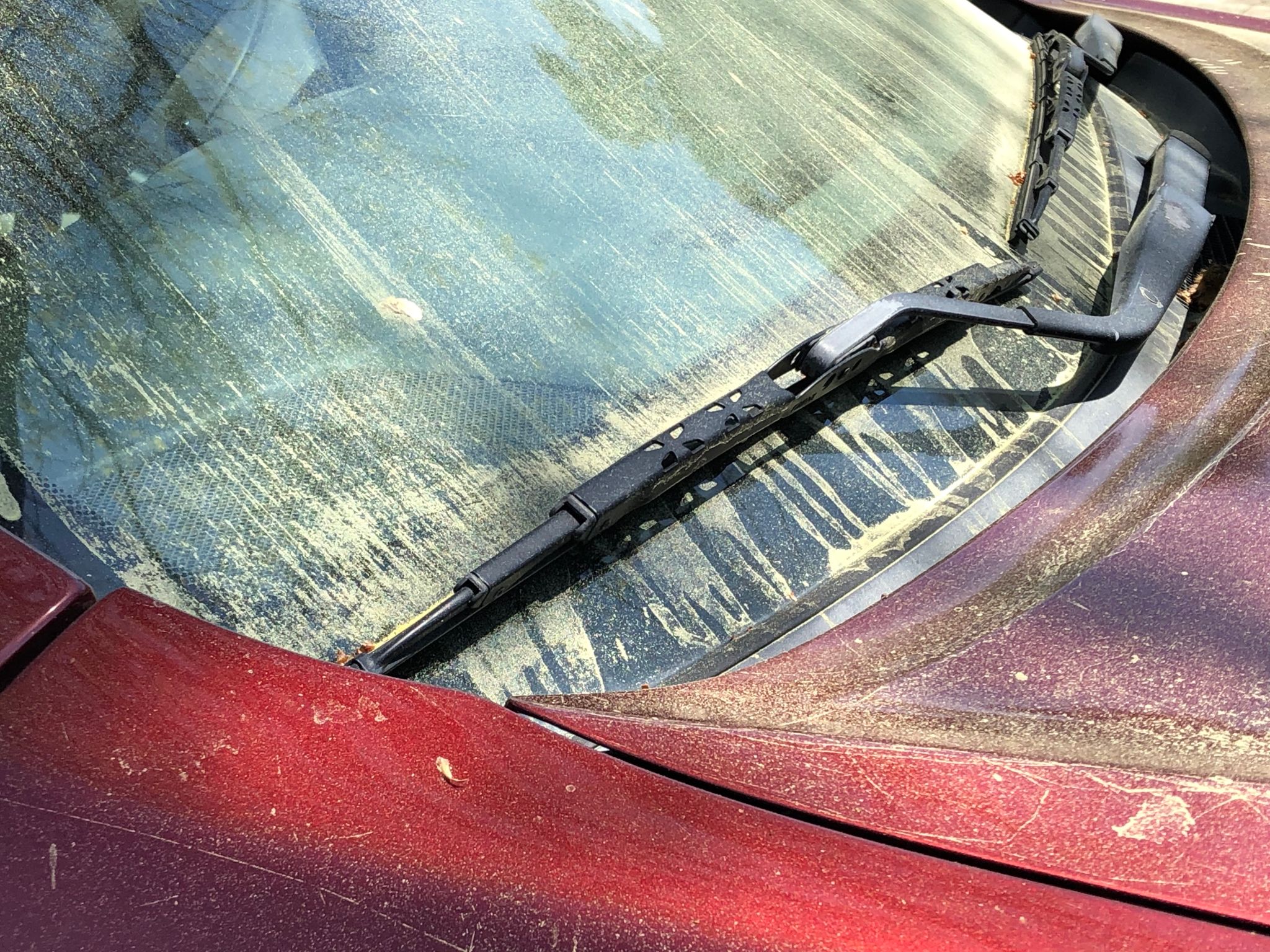 spring pollen car