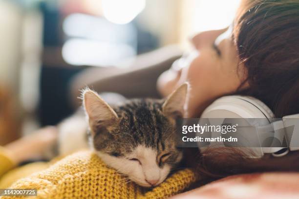 ragazza rilassata con gatto che ascolta musica - attività del fine settimana foto e immagini stock