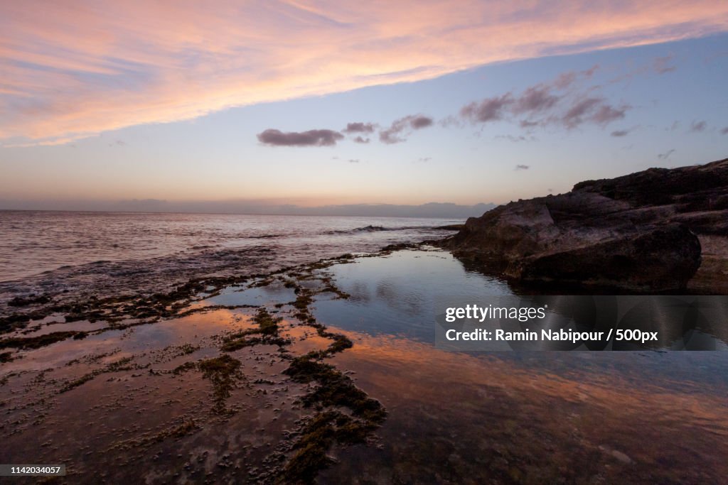 Tidal Pool Reflection