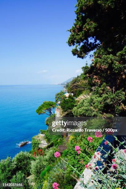 nature into sea - sori liguria stock pictures, royalty-free photos & images