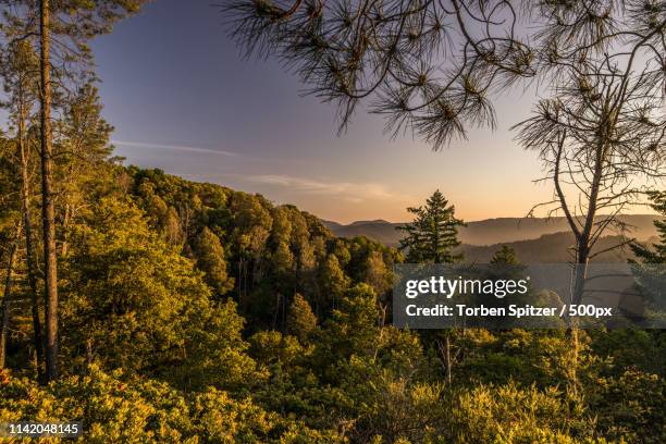 Portola California Photos and Premium High Res Pictures Getty Images