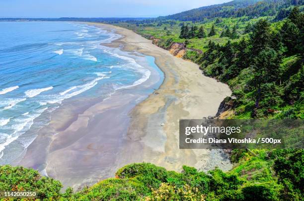 emerald shores - coast redwood stock pictures, royalty-free photos & images