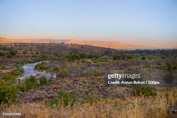 calm river valley - river jordan stock pictures, royalty-free photos & images