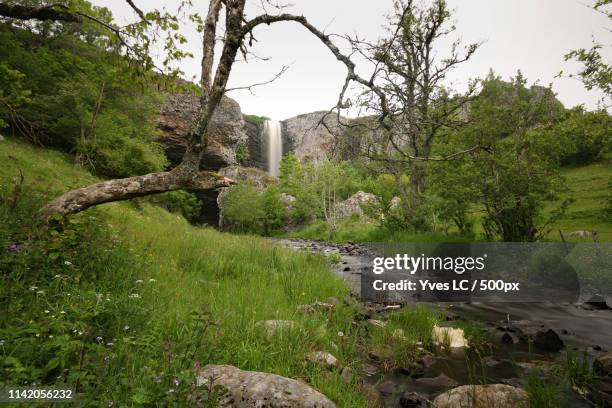 cascade du deroc - cantal stockfoto's en -beelden