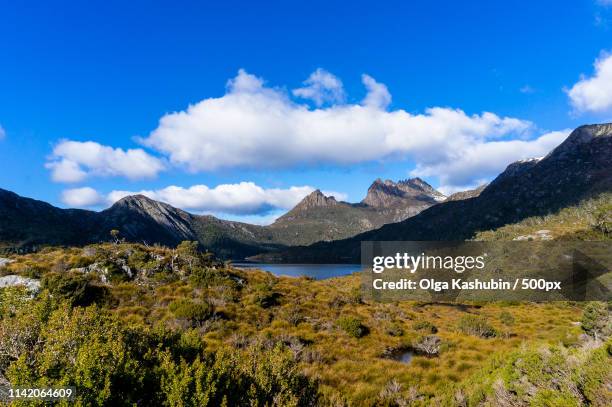 cradle mountain and dove lake tasmania, australia - olga mountains australia stockfoto's en -beelden