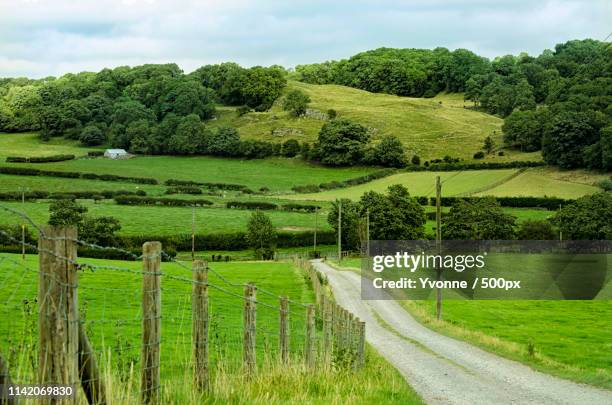 welsh countryside - llandovery stock pictures, royalty-free photos & images