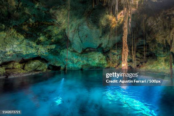 cenote cuzamá - merida mexico stock-fotos und bilder