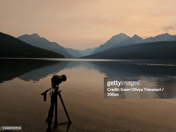 bowman lake - whitefish montana stock pictures, royalty-free photos & images