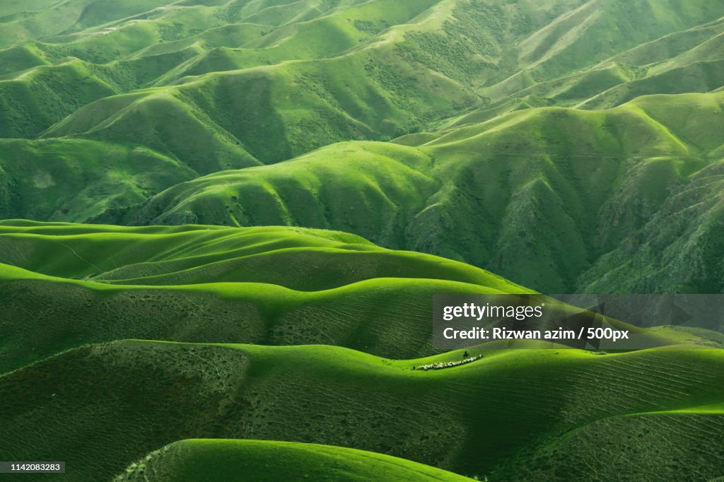 Green Rolling Hills China