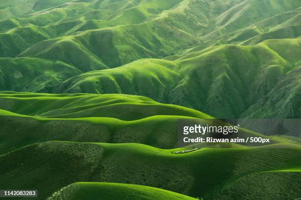 green rolling hills china - rolling landscape stock pictures, royalty-free photos & images