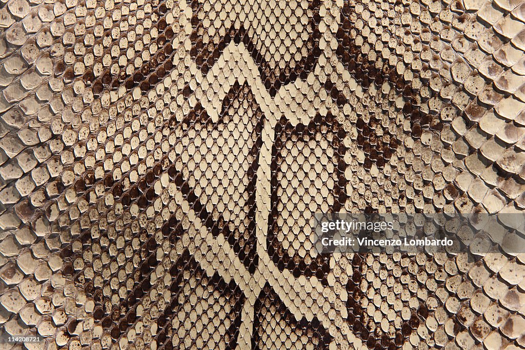 Python Skin