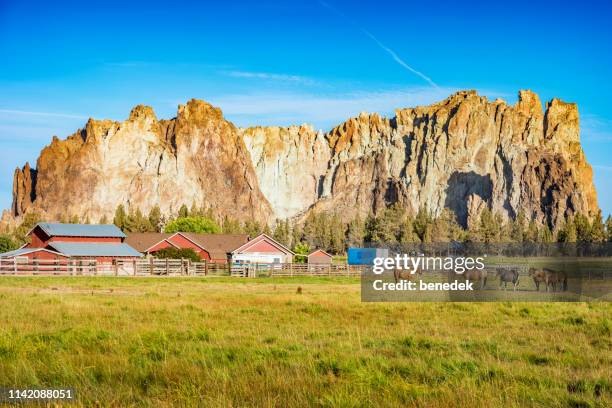 rancho con caballos en smith rock state park en oregon usa - smith rock state park fotografías e imágenes de stock