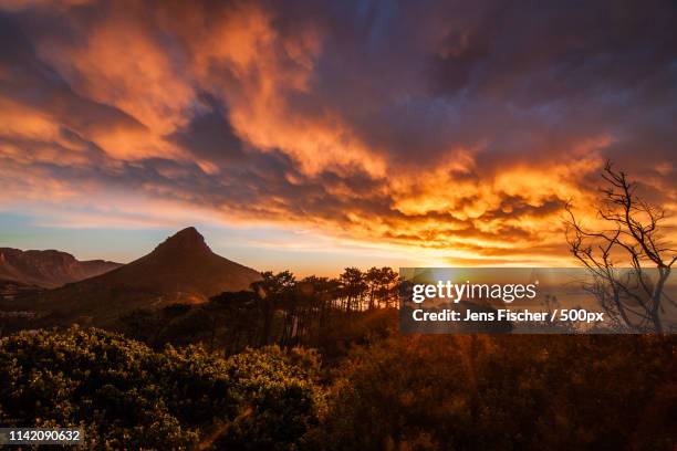 lion's head sundowner - signal hill cape town stock pictures, royalty-free photos & images