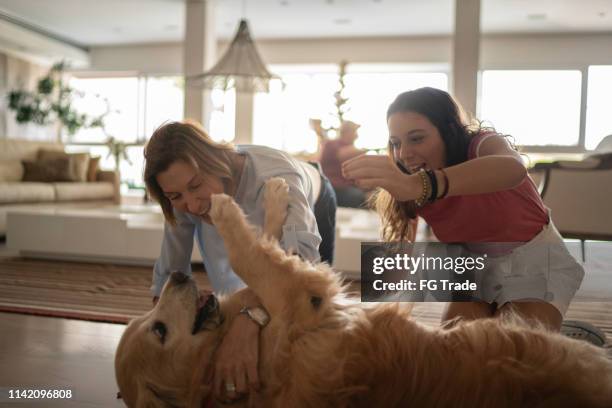 teenager girl and woman playing with dog - woman smiling facing down stock pictures, royalty-free photos & images