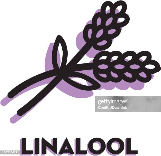 cannabis marijuana linalool icon with text - lavender plant stock illustrations