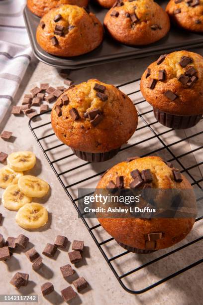 chocolate chip banana muffins - chocolate chip 個照片及圖片檔