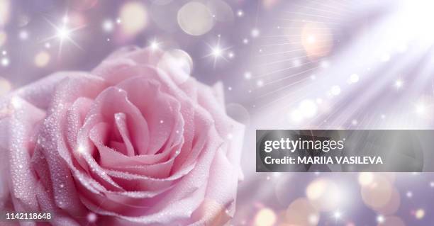 Tendencias Actuales en Magia Rosa: Innovaciones y Prácticas Populares