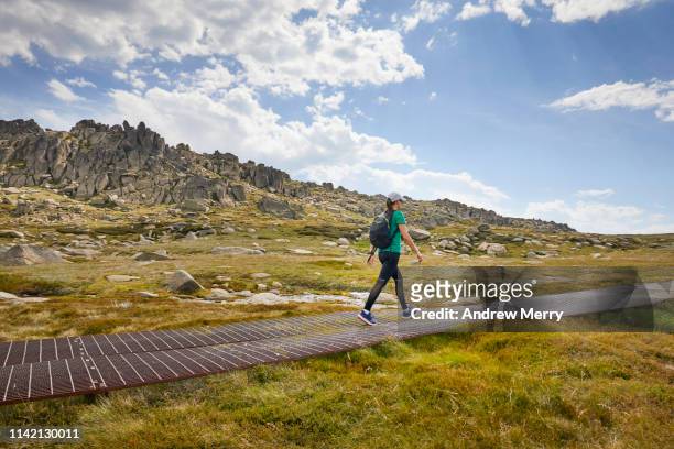 woman hiking or walking on footpath, track or elevated walkway through an idyllic mountain landscape, kosciuszko national park, australia - nsw landscape stockfoto's en -beelden
