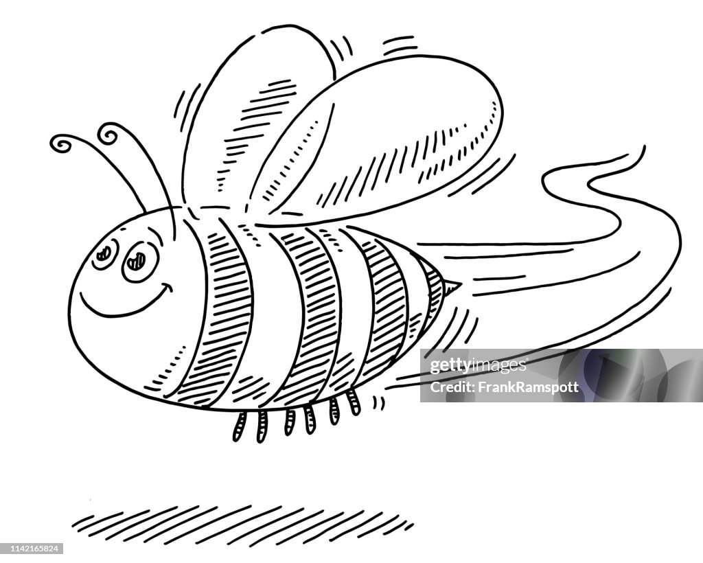 Flying Happy Cartoon Bee Drawing High-Res Vector Graphic - Getty Images
