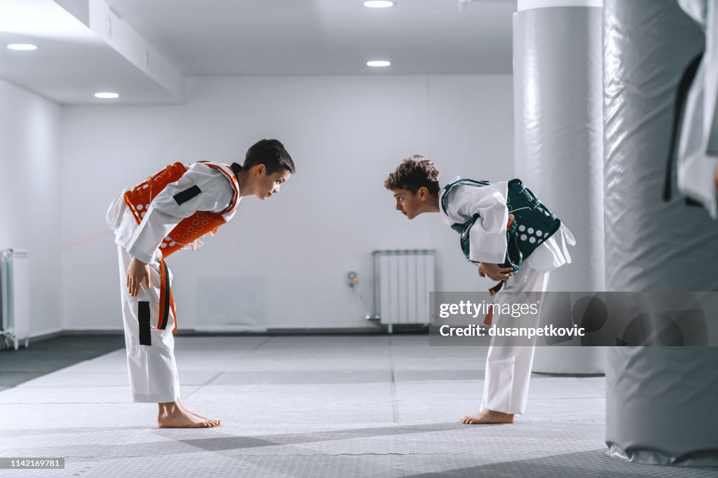 Two Caucasian boys in taekwondo fittings bowing at each other after combat.